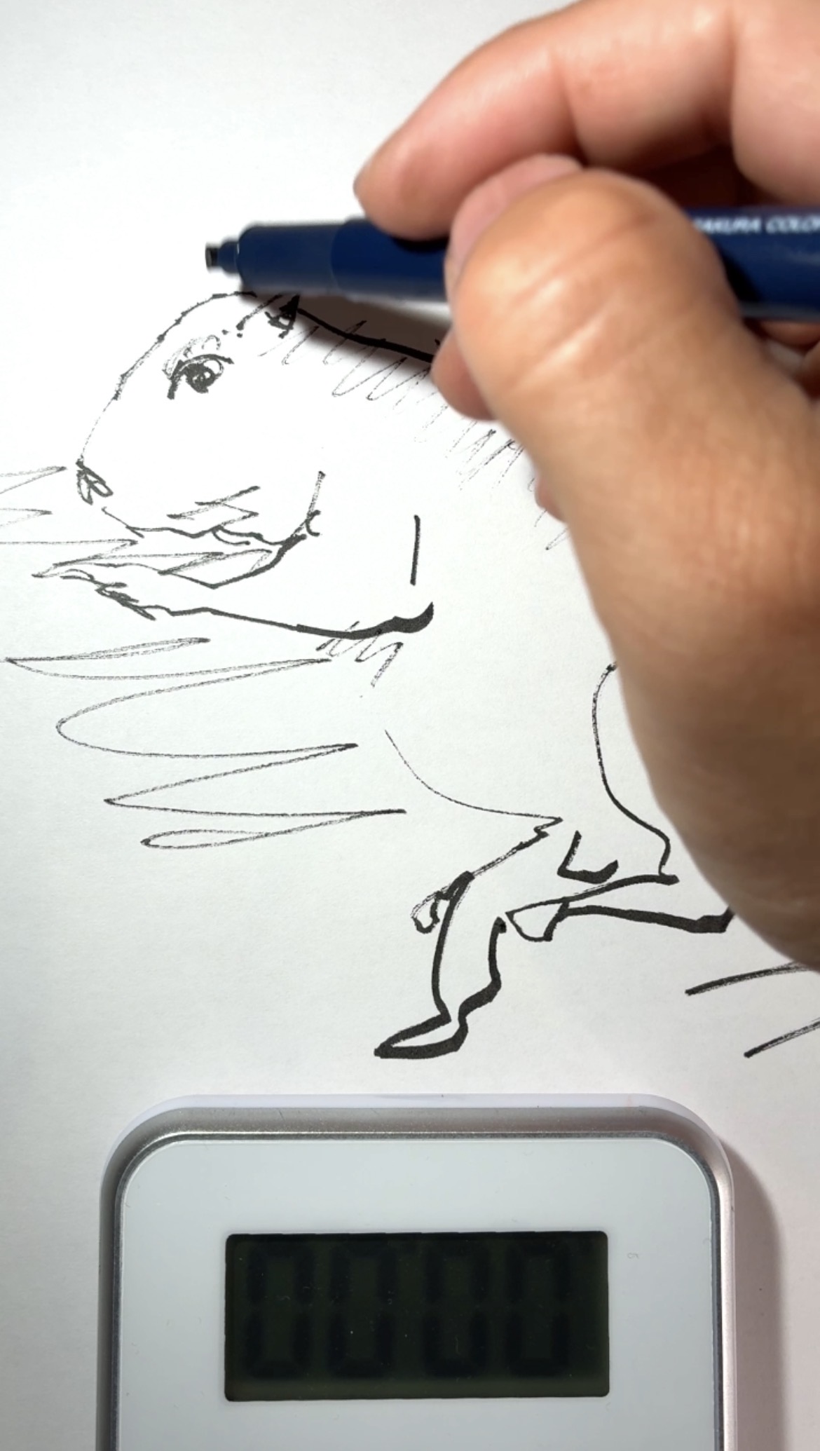 Drawing Hisamon Artwork