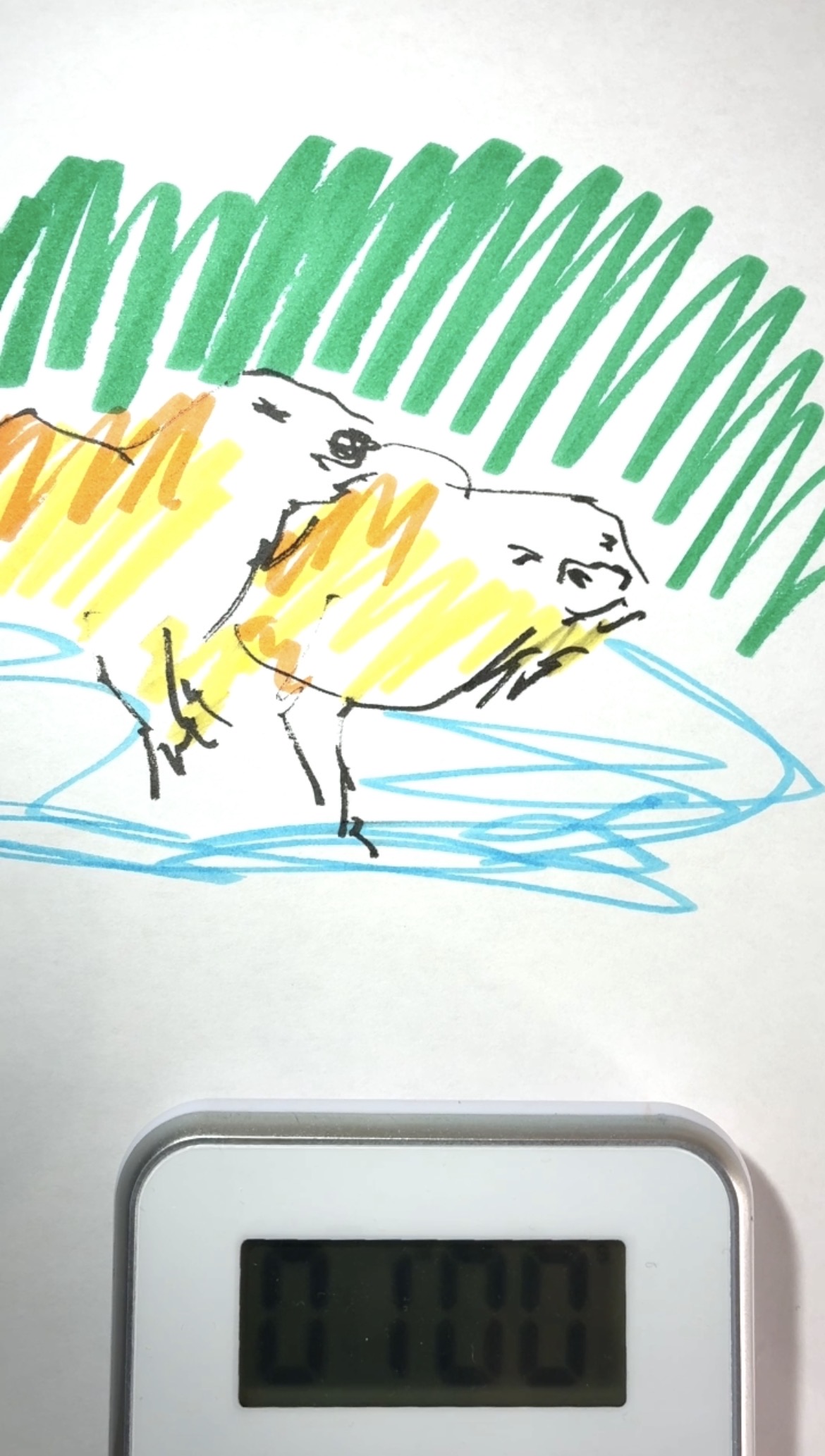 Drawing Hisamon Artwork