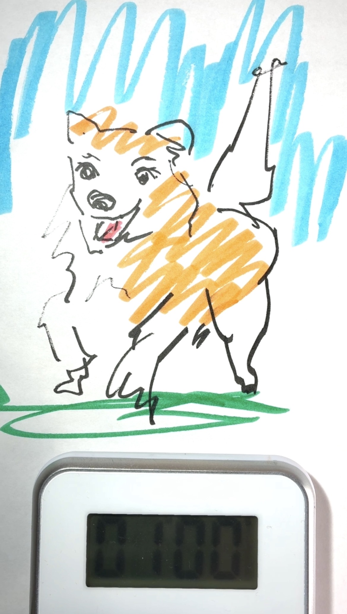 Drawing Hisamon Artwork